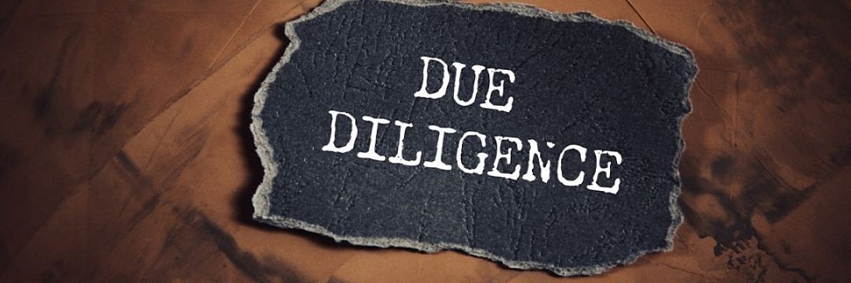 Expert Due Diligence Investigations for Business Safety