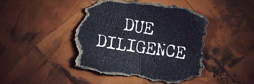 Expert Due Diligence Investigations for Business Safety