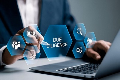 Due Diligence Investions