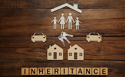 Inheritance Investigations